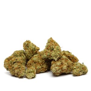 FULL GAZ POPCORN INDOOR