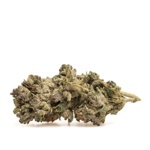 SPRITZ N9 - THX - Kilograms