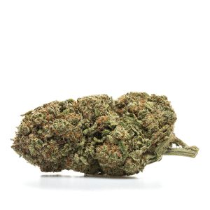 BlueBerry Hydro CBD: CBD Flower - Kilograms
