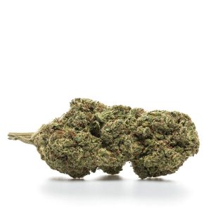 BUBBLE GUM - HYDRO - Kilograms