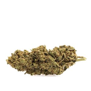 Lemon Kush - Kilograms