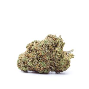 RUNTZ – HYDRO - Kilograms