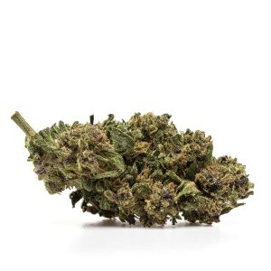 SHERBELATO - THX - Kilograms