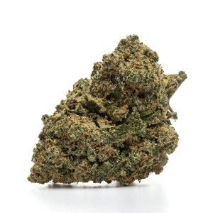 TRUMP - HYDRO - Kilograms