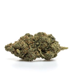 ZUSHI - HYDRO - Kilograms